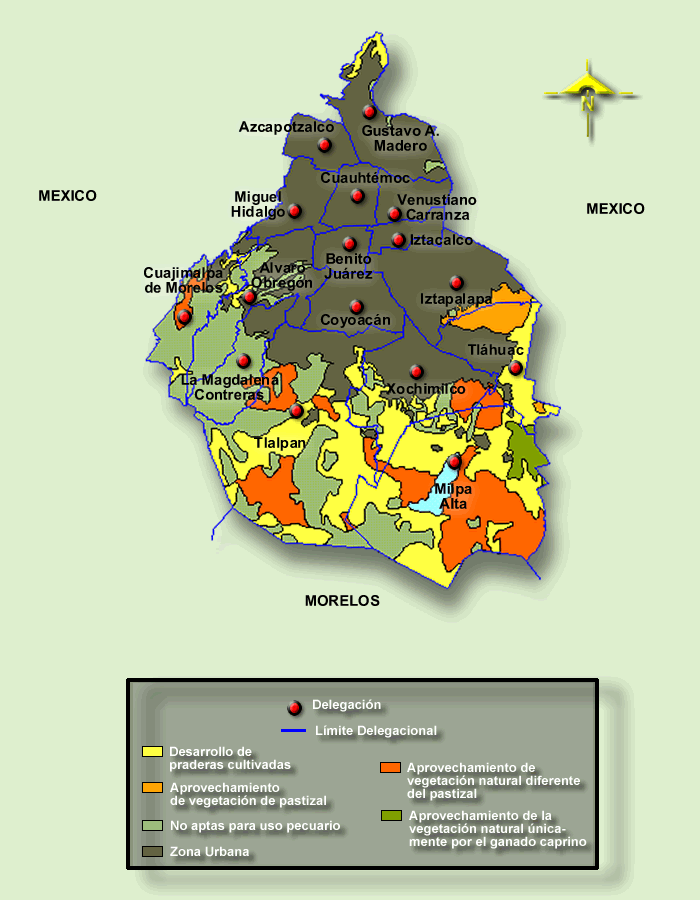 andrea muñiz lopez TIPOS DE SUELO